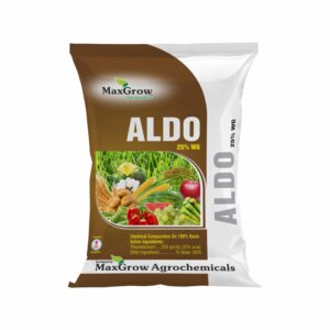 Aldo