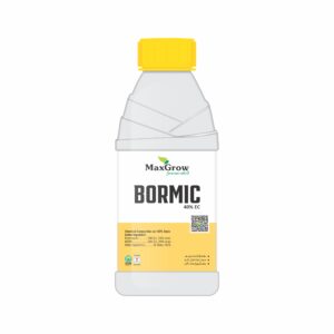 Bormic