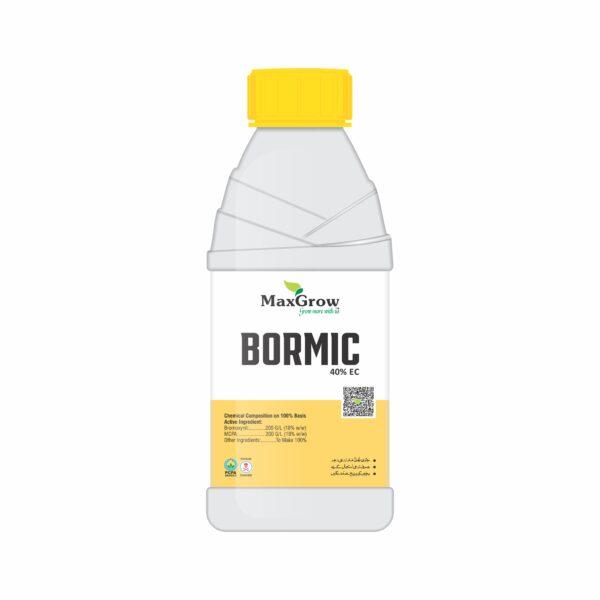 Bormic
