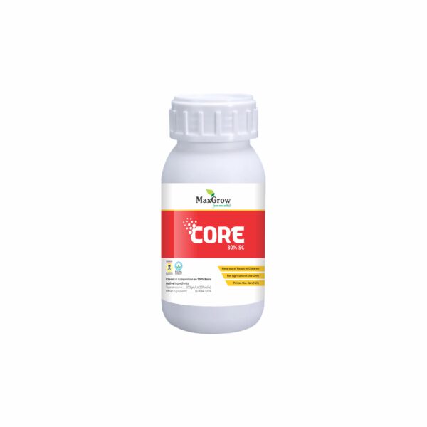 Core