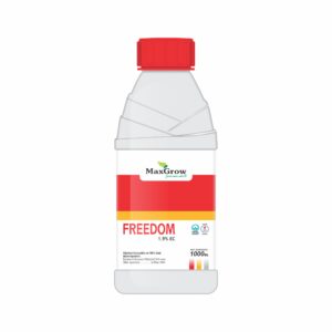 Freedom