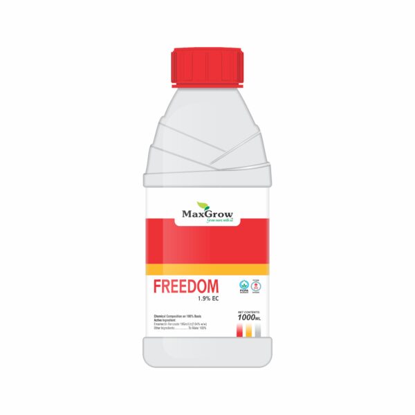 Freedom