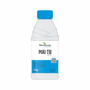 Mai Tu