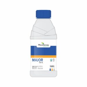 Major