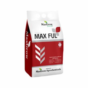 Max Full