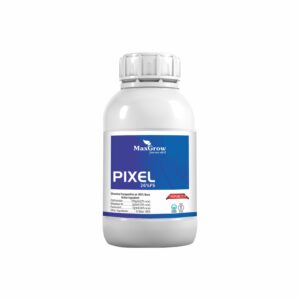 Pixel