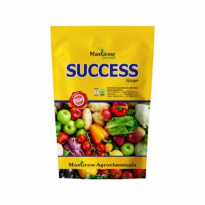 Success