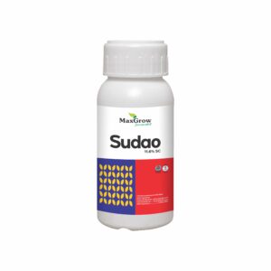 Sudao