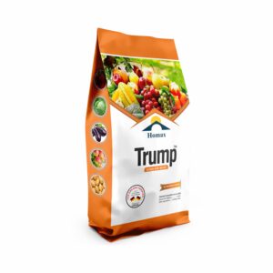 Trump (1kg)