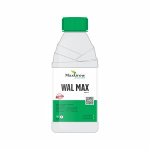 Wall Max