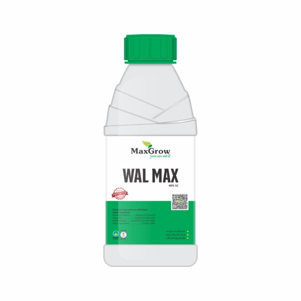 Wall Max