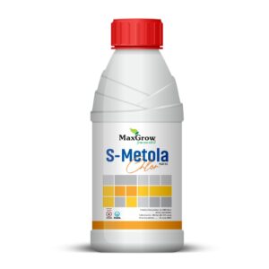 S-Metola