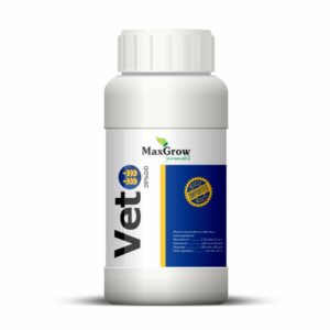 Veto